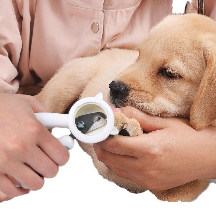 Integrated Stainless Steel Nail Grinder Clippers Splash-Proof Design for Cats Dogs Boxed Animal Care Product for Pet Grooming